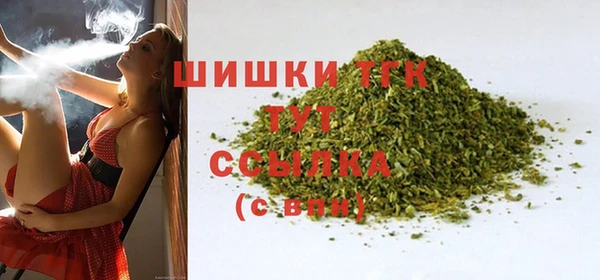 прущий лед Богданович