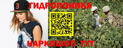 ГАЛЛЮЦИНОГЕННЫЕ ГРИБЫ Бузулук