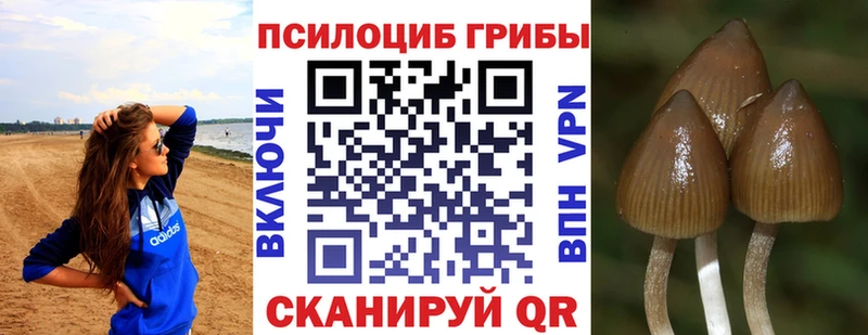 Галлюциногенные грибы мицелий  Воркута 