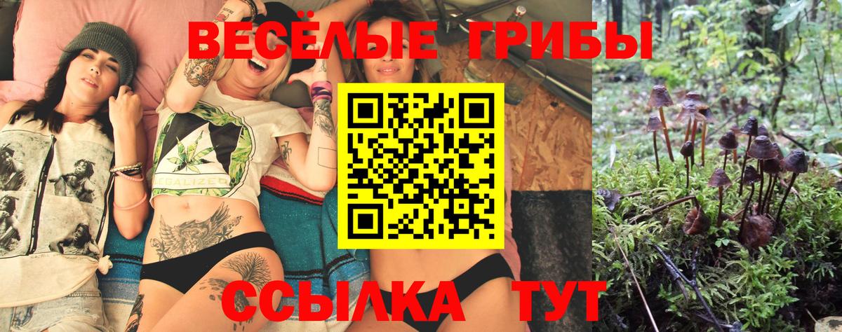 Воркута  Псилоцибиновые грибы мухоморы  Галлюциногенные грибы мухоморы  Вход с VPN 