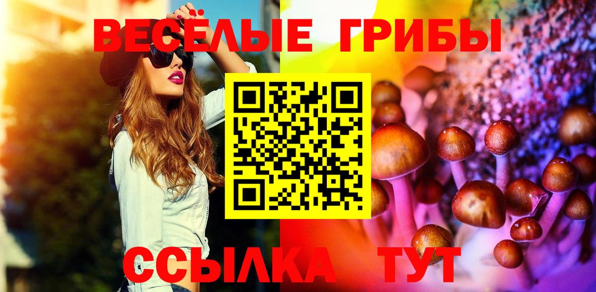 Галлюциногенные грибы мухоморы Воркута