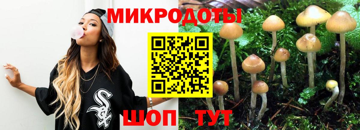 хочу наркоту  Воркута  Псилоцибиновые грибы GOLDEN TEACHER 