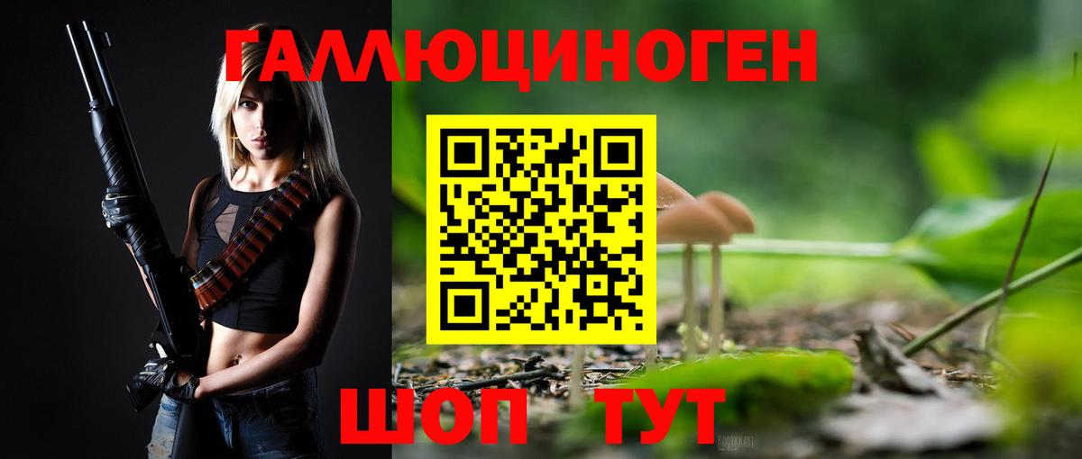 купить  цена  Воркута  Галлюциногенные грибы Cubensis  Галлюциногенные грибы Cubensis 